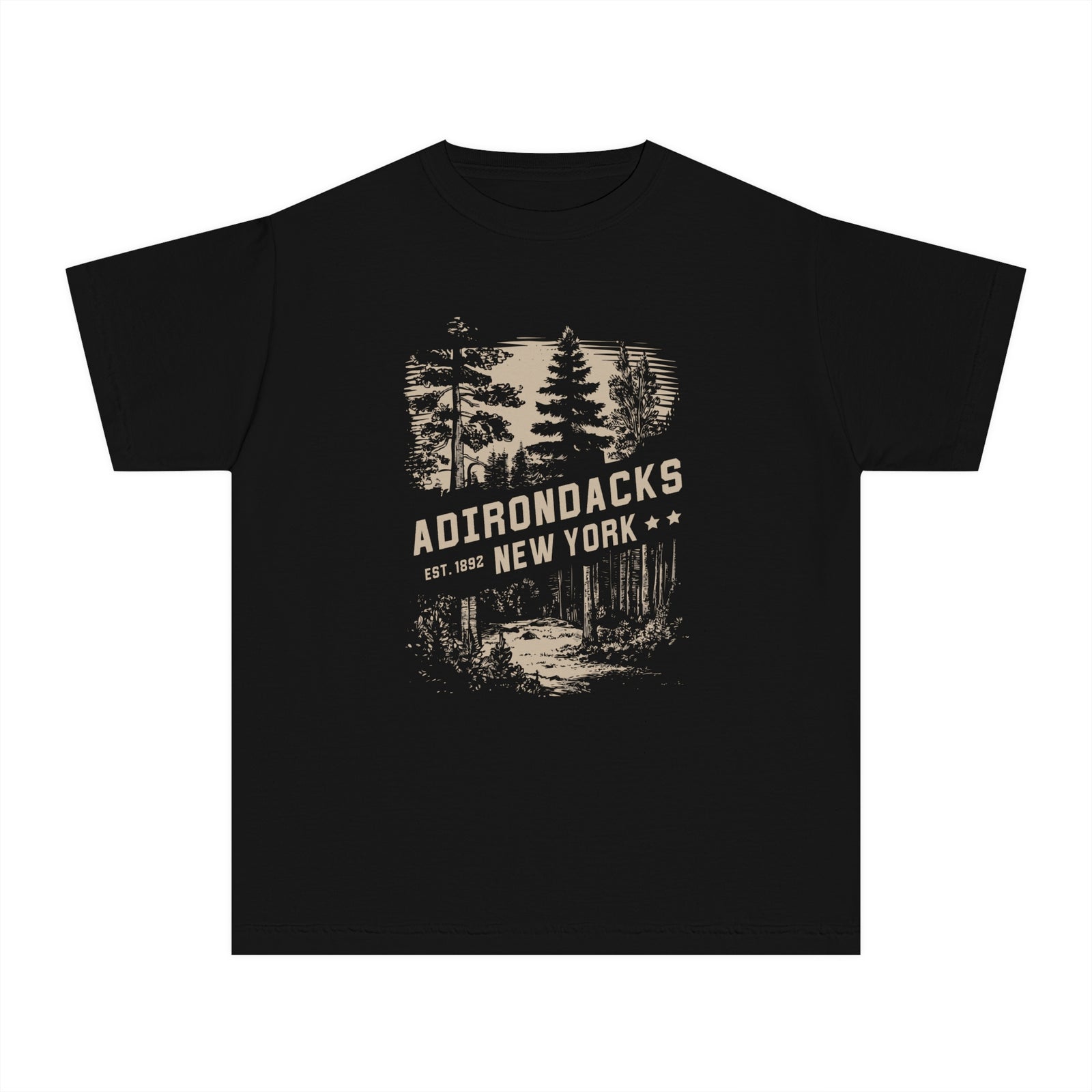 Adirondacks New York Comfort Colors Youth Kids T-Shirt
