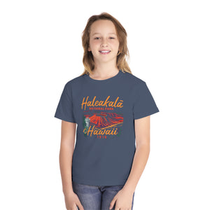 Haleakalā National Park Hawaii Comfort Colors Youth Kids T-Shirt