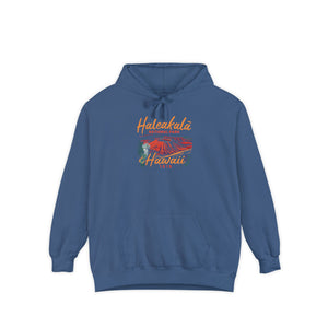 Haleakalā National Park Hawaii Comfort Colors Unisex Hoodie