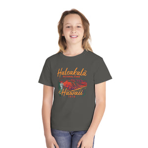 Haleakalā National Park Hawaii Comfort Colors Youth Kids T-Shirt