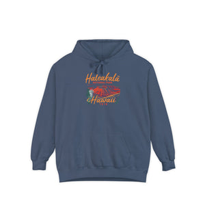 Haleakalā National Park Hawaii Comfort Colors Unisex Hoodie